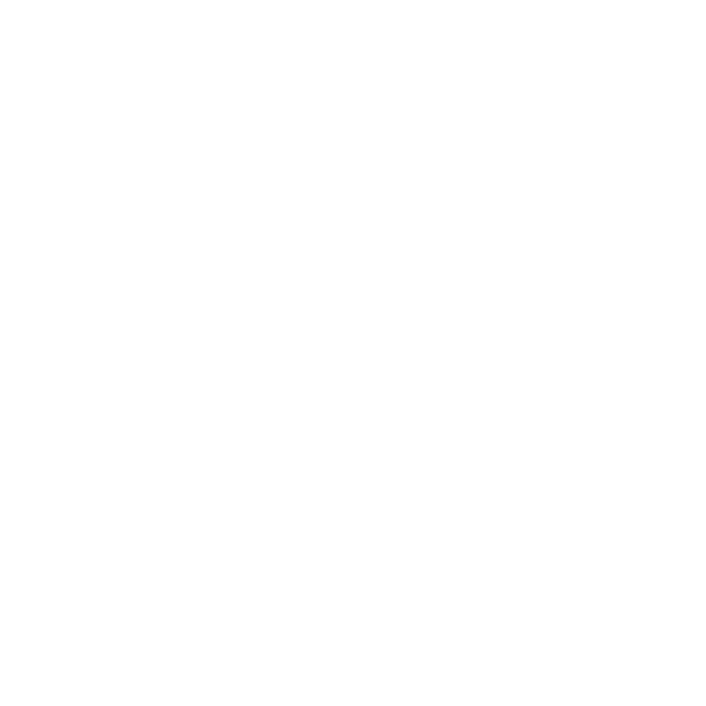 Future Syria Organization